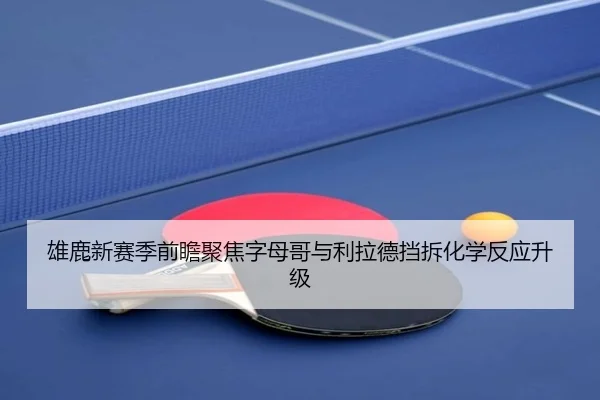 雄鹿新赛季前瞻聚焦字母哥与利拉德挡拆化学反应升级